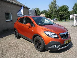 Avarii auto utilitare Opel Mokka 1.4 T Cosmo 4x4 REST BPM 1000 EURO !!! 2014/5