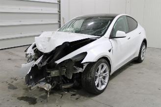 Coche accidentado Tesla Model Y  2023/1