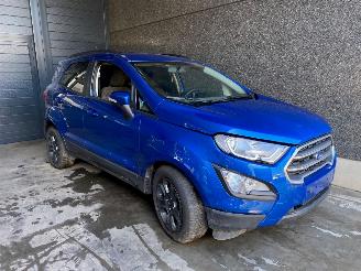 uszkodzony samochody osobowe Ford EcoSport EcoSport (JK8) SUV 1.0 EcoBoost 12V 125 SUV  Benzine 998cc 92kW 2019/5