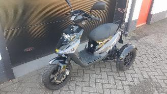 Vaurioauto  motor cycles PGO  PGO driewielscooter 2012/1